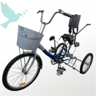 Велосипеды для детей с ДЦП - Доступная среда