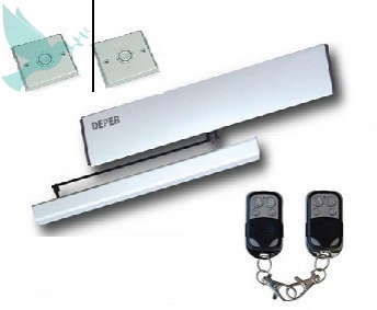      DSW-100 -  
