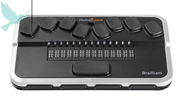     "Brailliant BI  20X -  