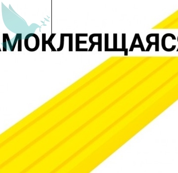       29  -  
