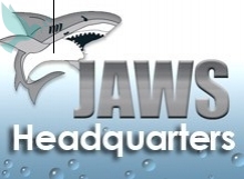    Jaws for Windows 2025 Pro -  